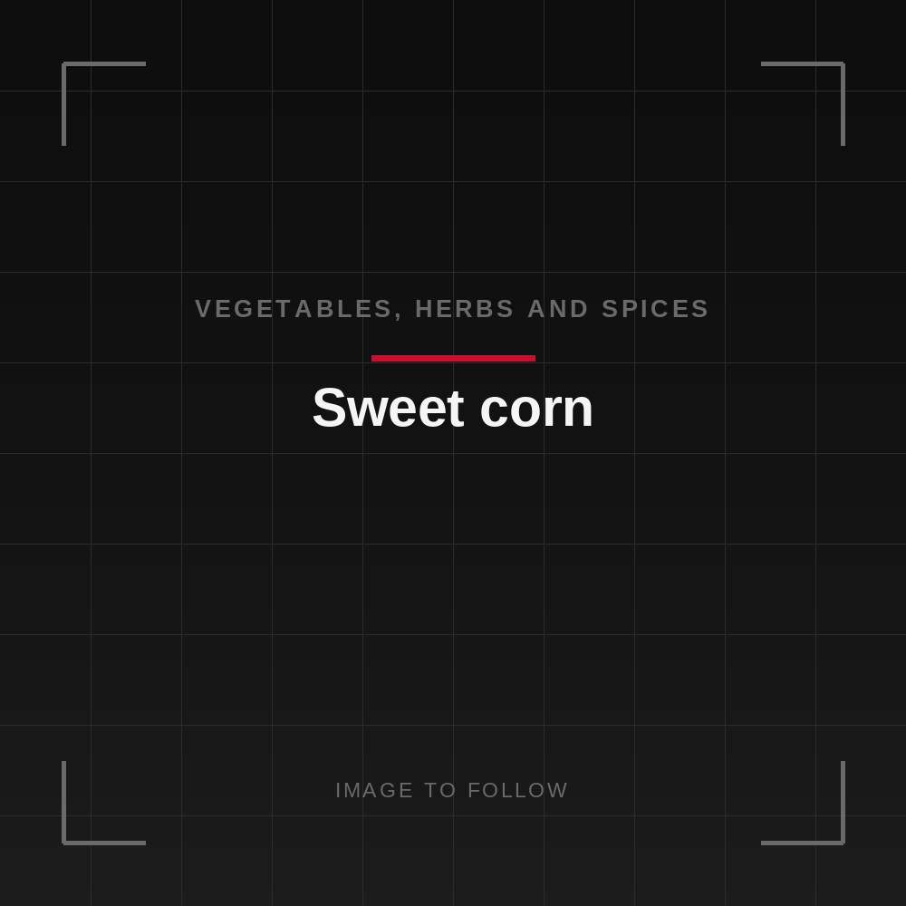 Sweet corn