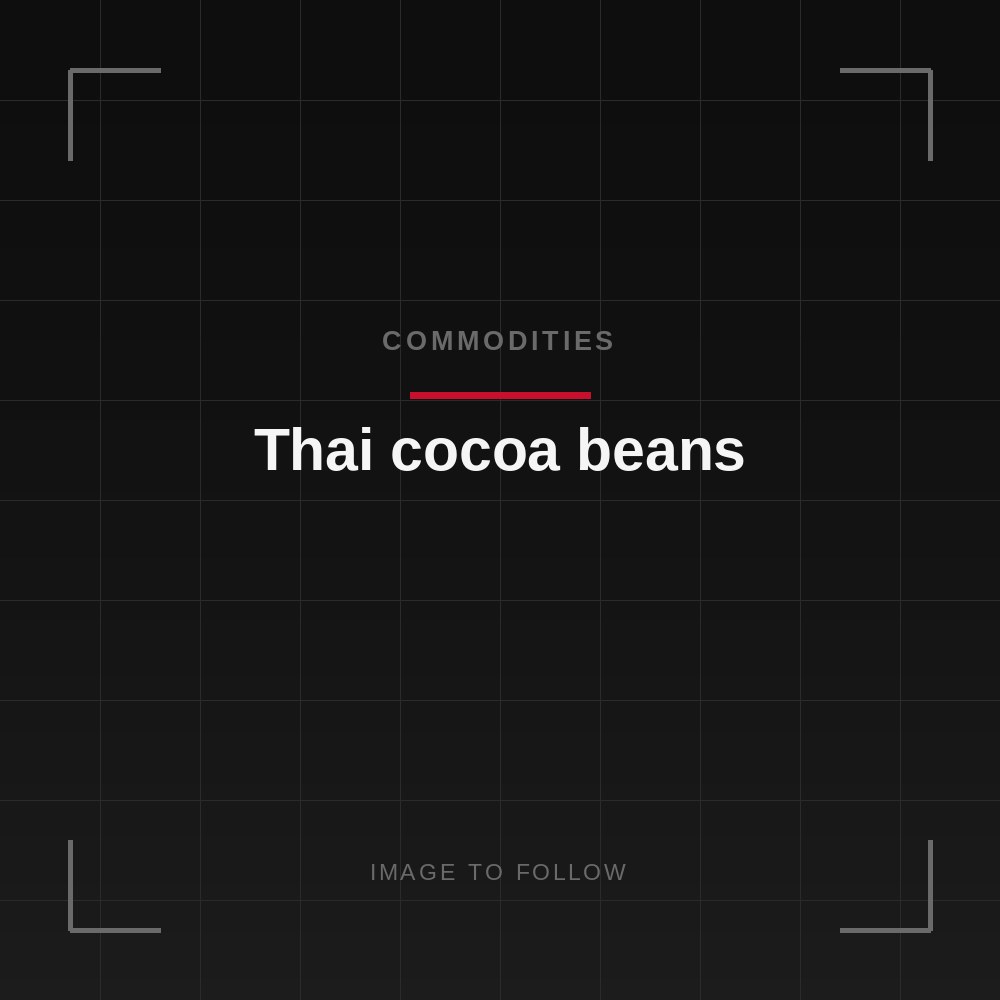 Thai cocoa beans